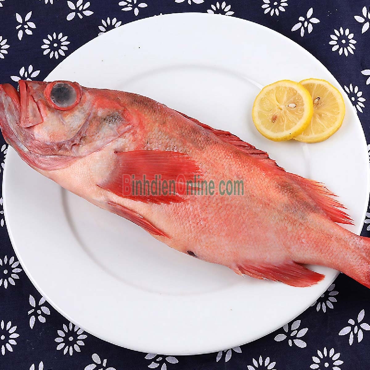 Cá hồng biển tươi loại 1 làm sạch 2-3 kg/con Xuất xứ Vũng Tàu