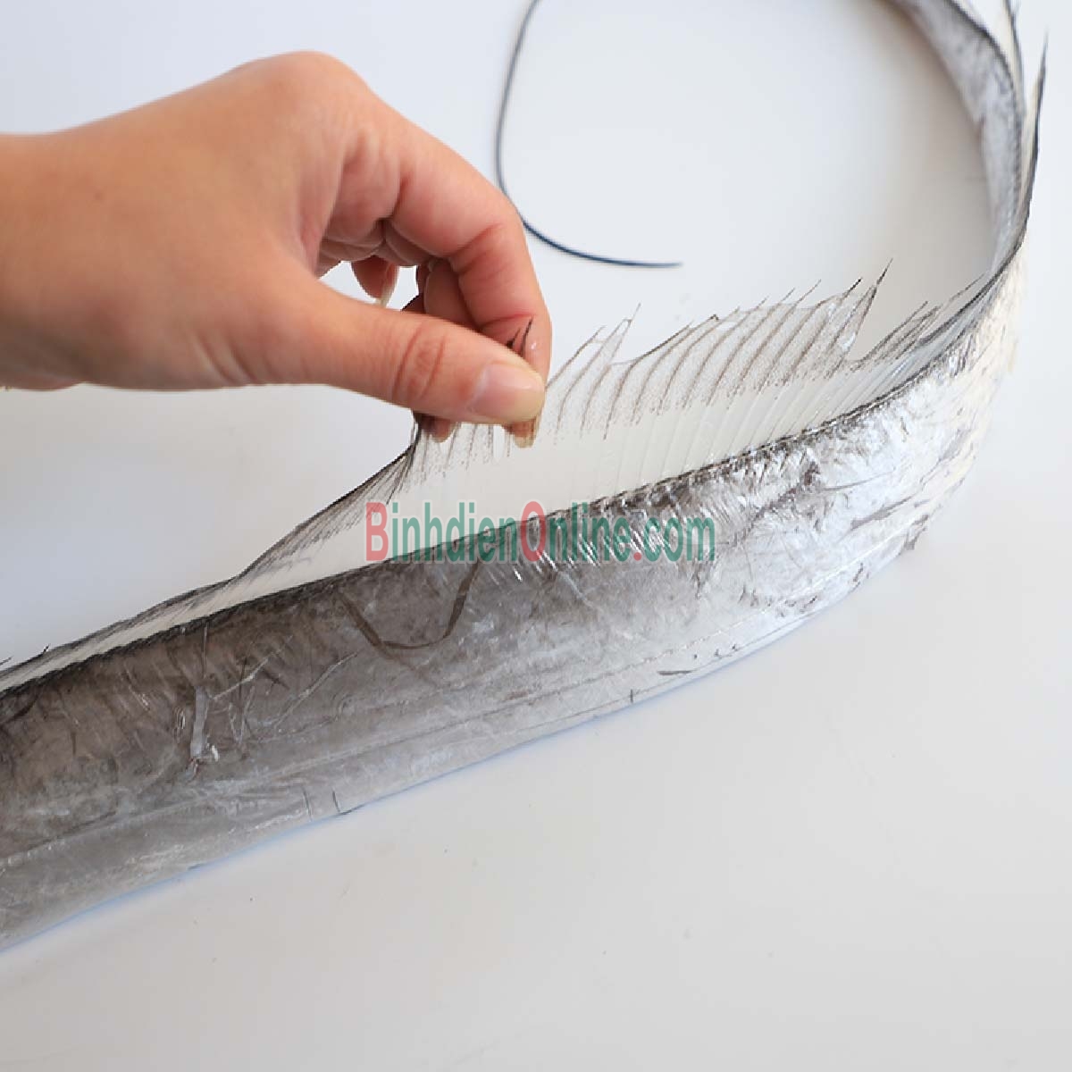 Cá hố tươi nguyên con tươi ngon và an toàn 500-700 gr/con Xuất xứ Bạc Liêu