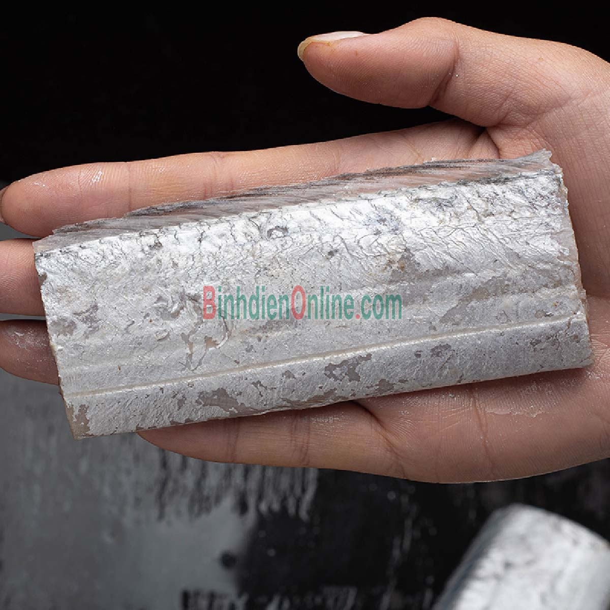 Cá hố tươi nguyên con tươi ngon và an toàn 700-900 gr/con Xuất xứ Bạc Liêu