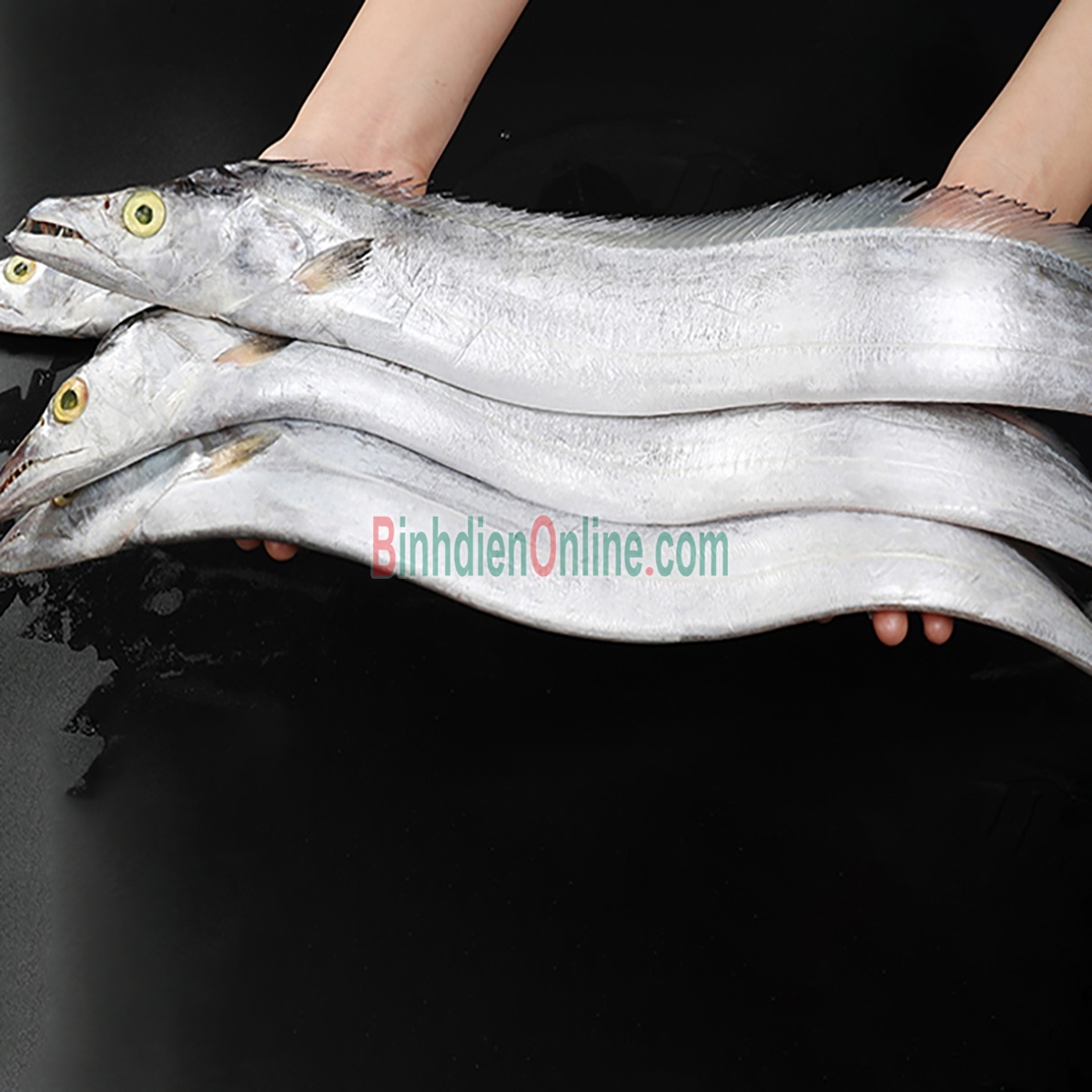 Cá hố tươi nguyên con, thịt chắc, ngọt 300-500 gr/con Xuất xứ Bạc Liêu