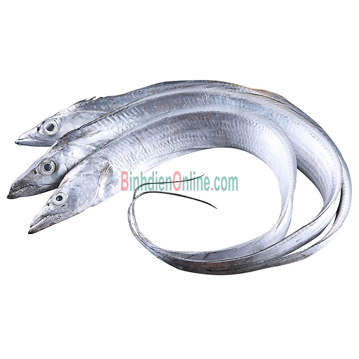 Cá hố tươi nguyên con, thịt chắc, ngọt 700-900 gr/con Xuất xứ Bạc Liêu