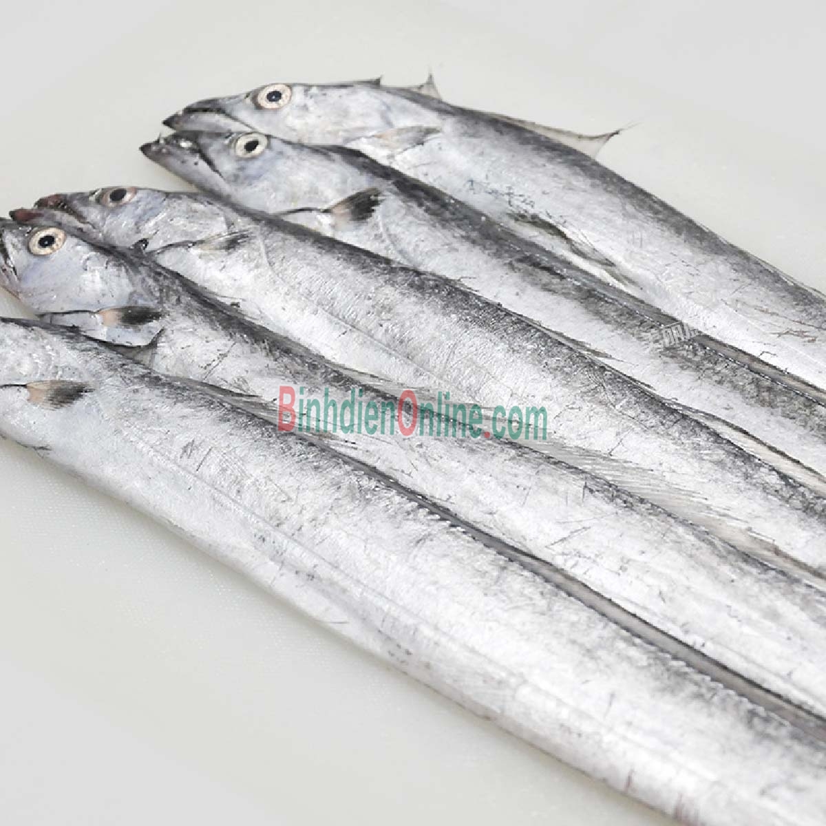 Cá hố tươi thiên nhiên, loại 1 tươi rói 500-700 gr/con Xuất xứ Bạc Liêu