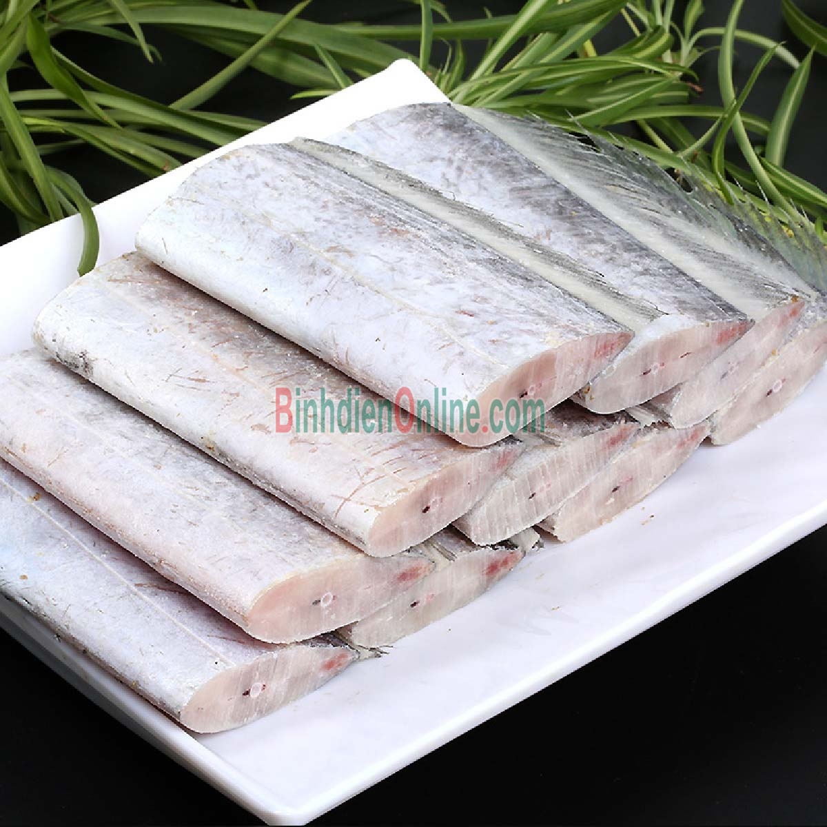 Cá hố tươi tươi ngon giá tốt hôm nay 700-900 gr/con Xuất xứ Bạc Liêu