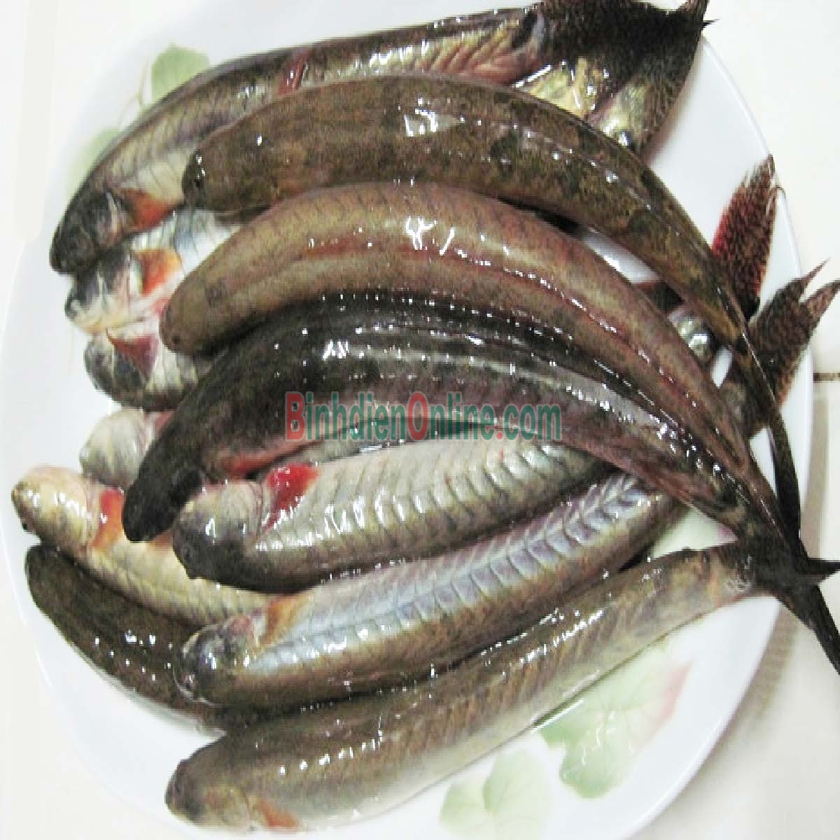 Cá kèo loại lớn làm sạch giá tốt và an toàn Loại trung Xuất xứ Sóc Trăng