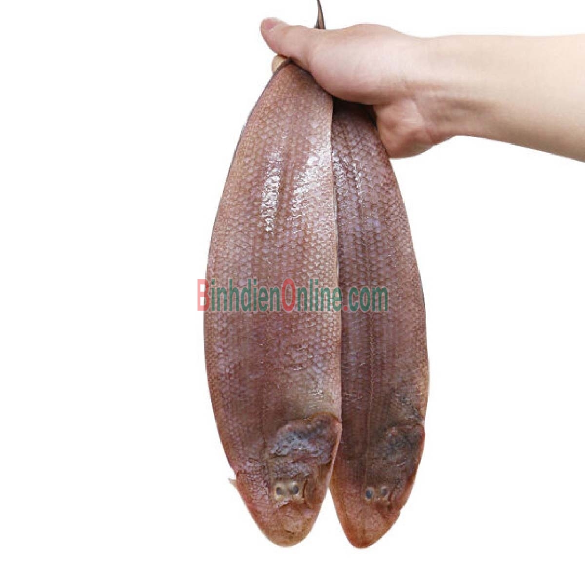 Cá lưỡi trâu tươi nguyên con tươi rói, thịt ngon 6-7 con/kg Xuất xứ Bạc Liêu