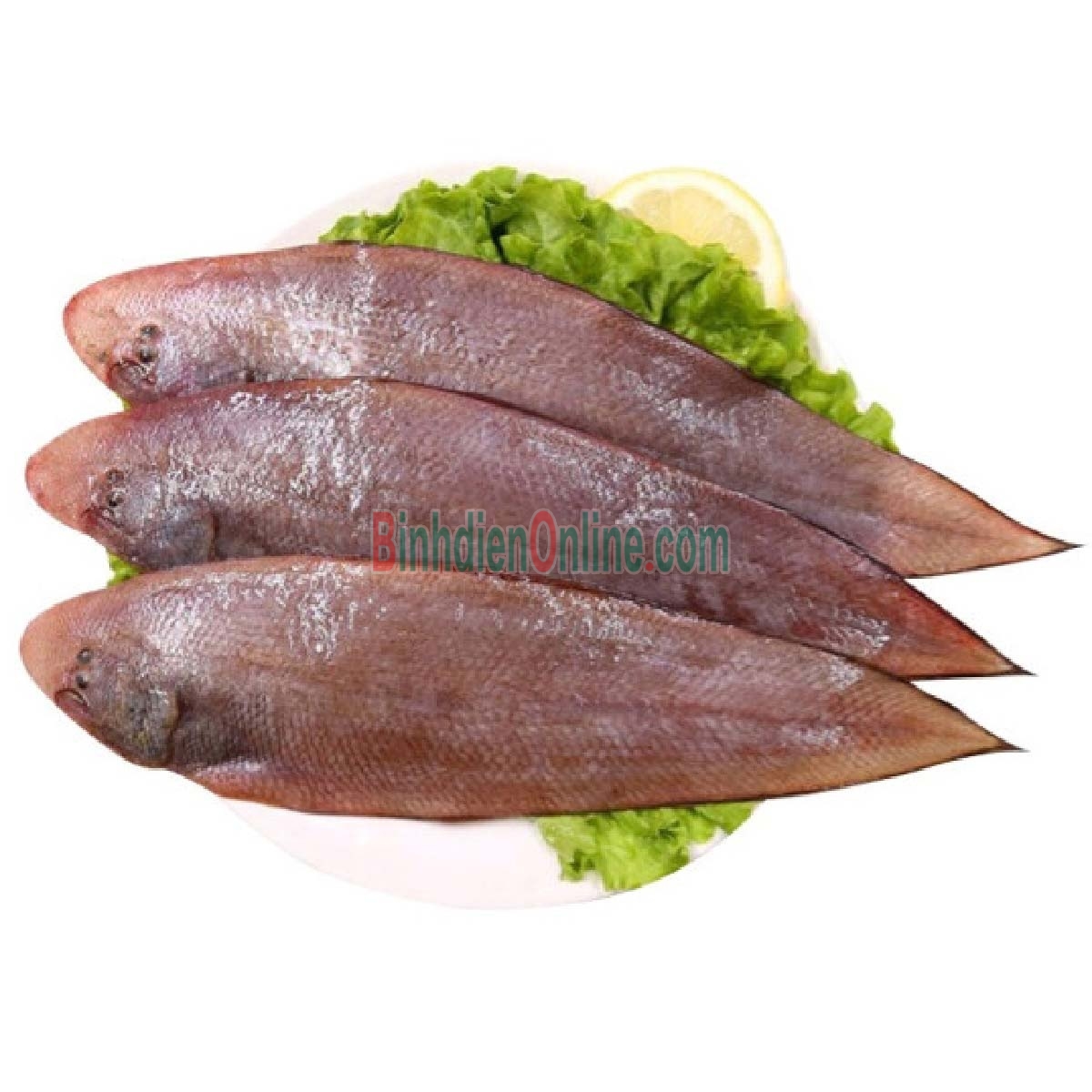 Cá lưỡi trâu tươi nguyên con tươi rói, thịt ngon 7-8 con/kg Xuất xứ Bình Thuận