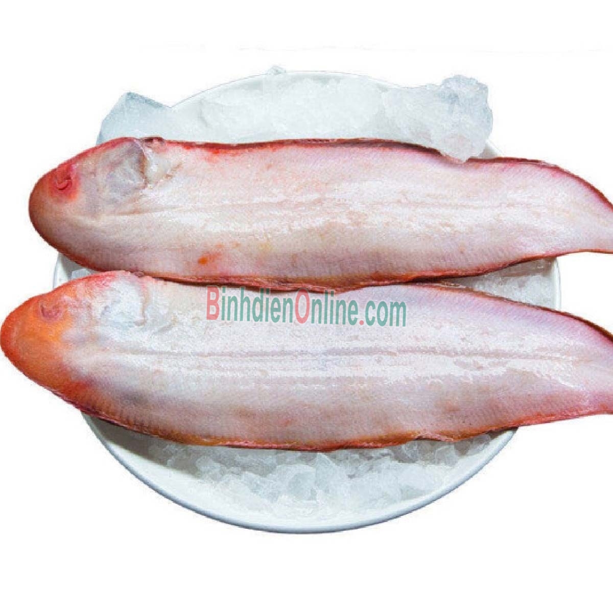 Cá lưỡi trâu tươi nguyên con loại 1 6-7 con/kg Xuất xứ Vũng Tàu