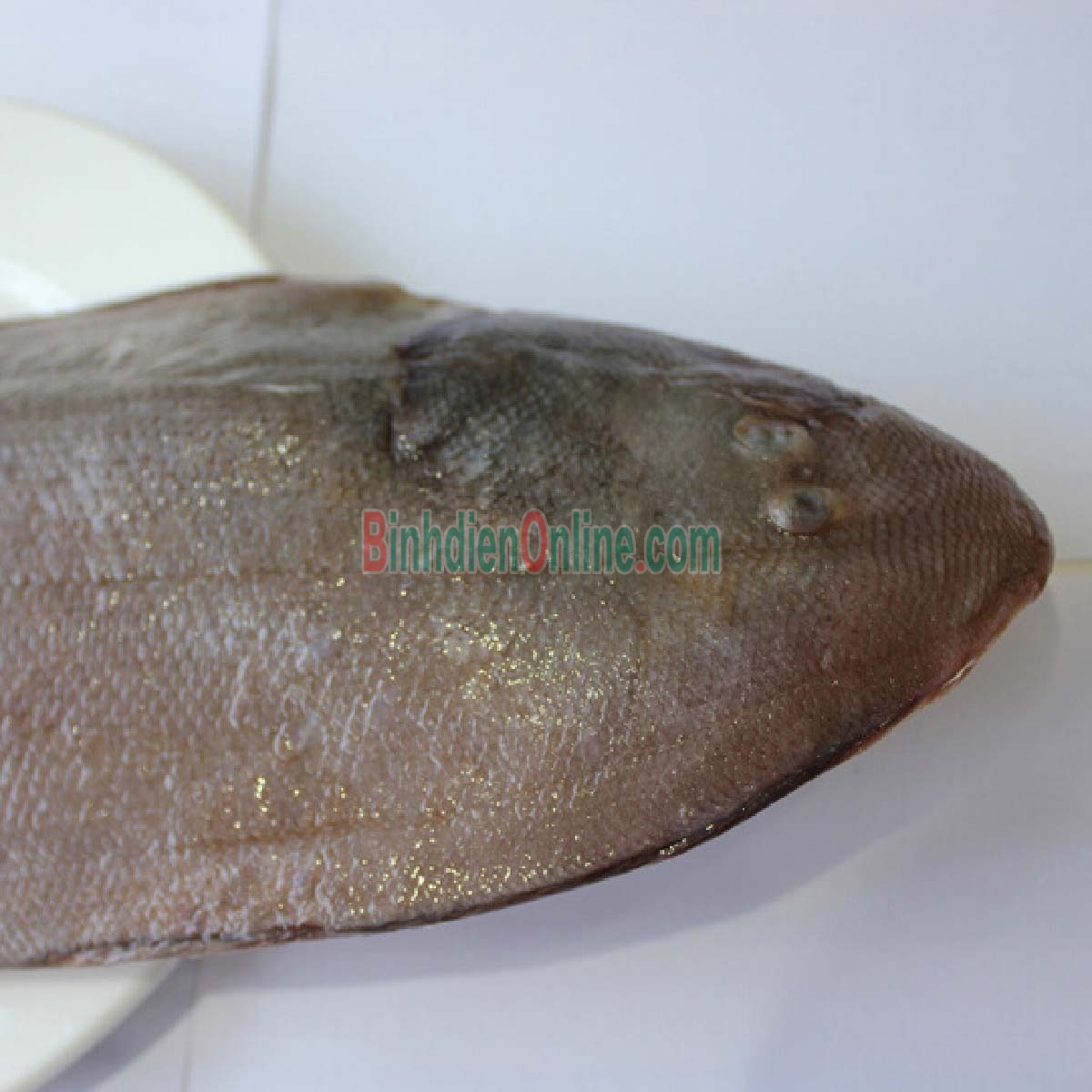 Cá lưỡi trâu đã làm sạch tươi rói, giá tốt 4-5 con/kg Xuất xứ Bình Thuận