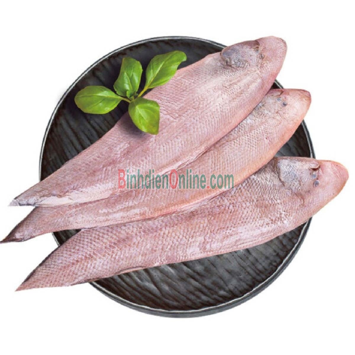 Cá lưỡi trâu tươi nguyên con tươi rói, thịt ngon 6-7 con/kg Xuất xứ Kiên Giang