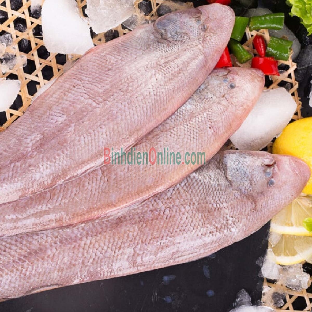 Cá lưỡi trâu tươi nguyên con loại 1 4-5 con/kg Xuất xứ Vũng Tàu