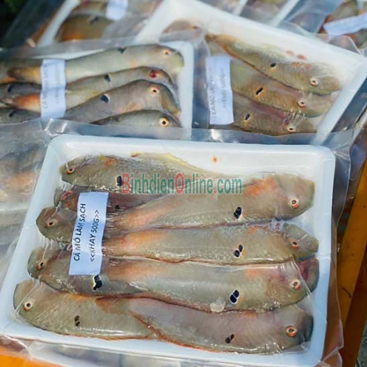 Cá mó tươi đã làm sạch, giá tốt 10-15 con/kg Xuất xứ Khánh Hòa