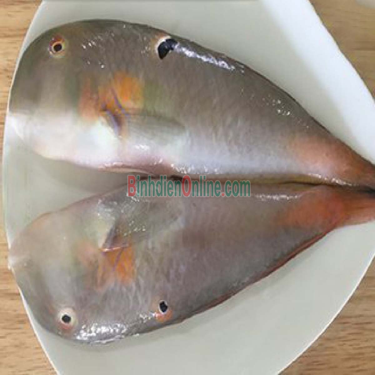 Cá mó tươi  vừa đánh bắt, giá tốt 8-10 con/kg Xuất xứ Khánh Hòa