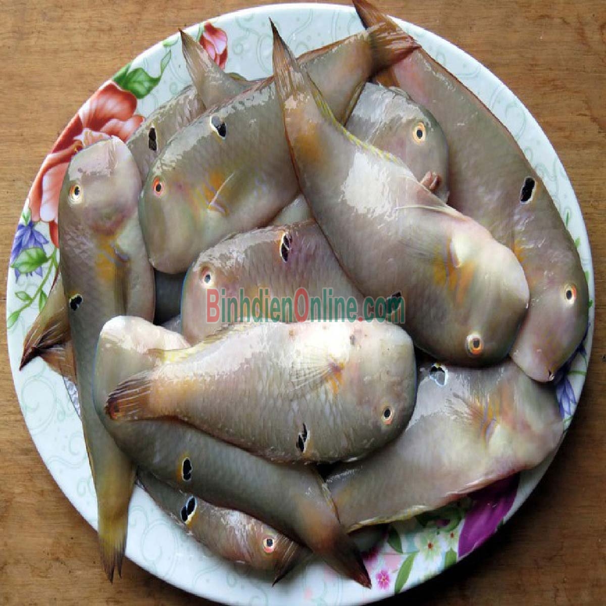 Cá mó tươi  vừa đánh bắt, giá tốt 6-8 con/kg Xuất xứ Khánh Hòa