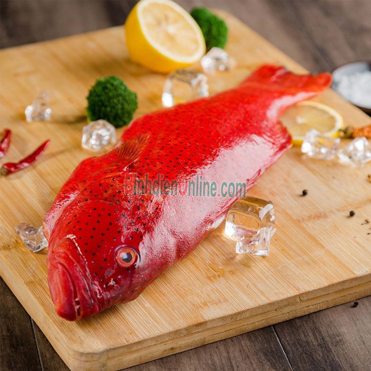 Cá mú đỏ tươi sống giá tốt, tươi rói và ngon tuyệt 1,2-1,4 kg/con Xuất xứ Bình Thuận