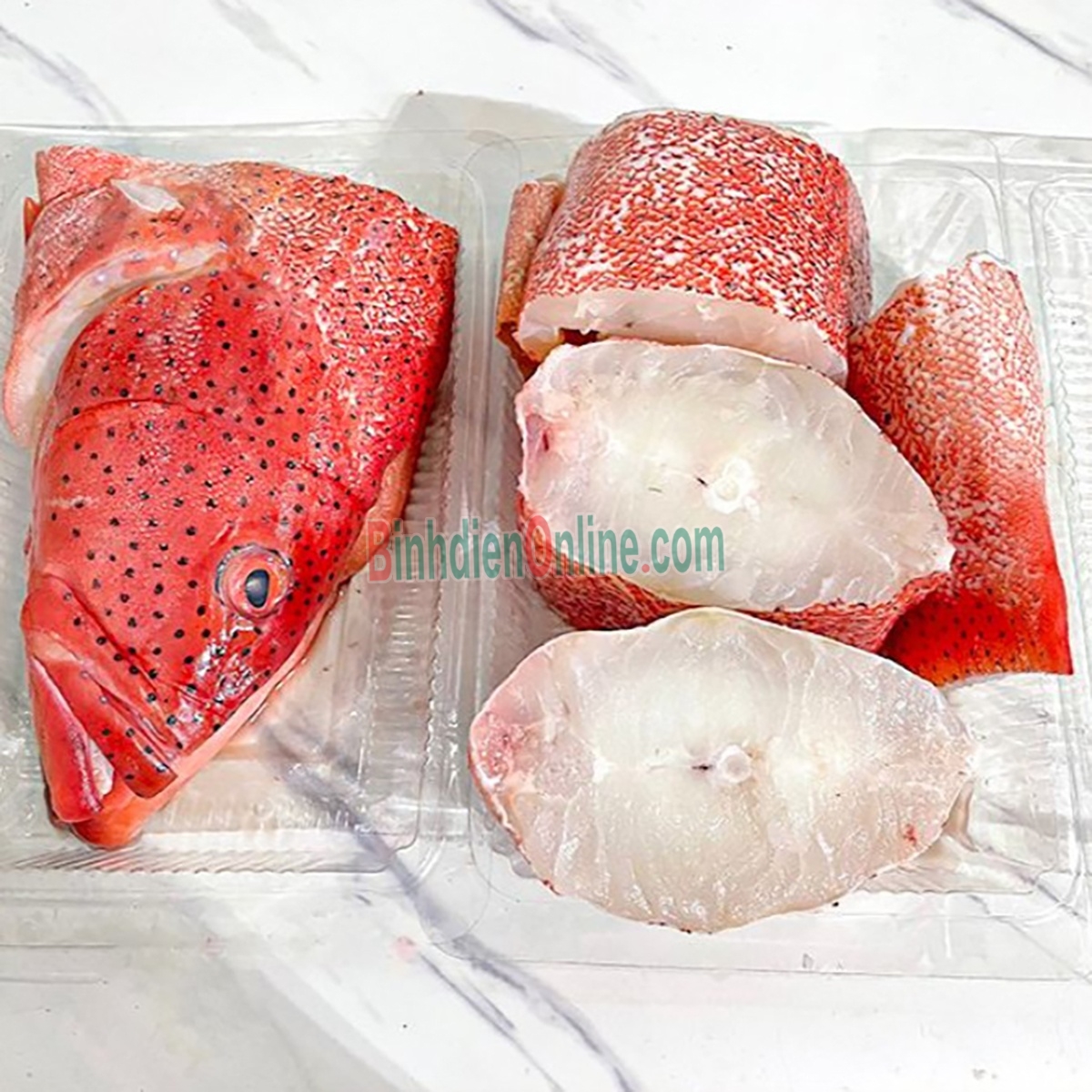 Cá mú đỏ thiên nhiên còn sống 2,5-3 kg/con Xuất xứ Bạc Liêu