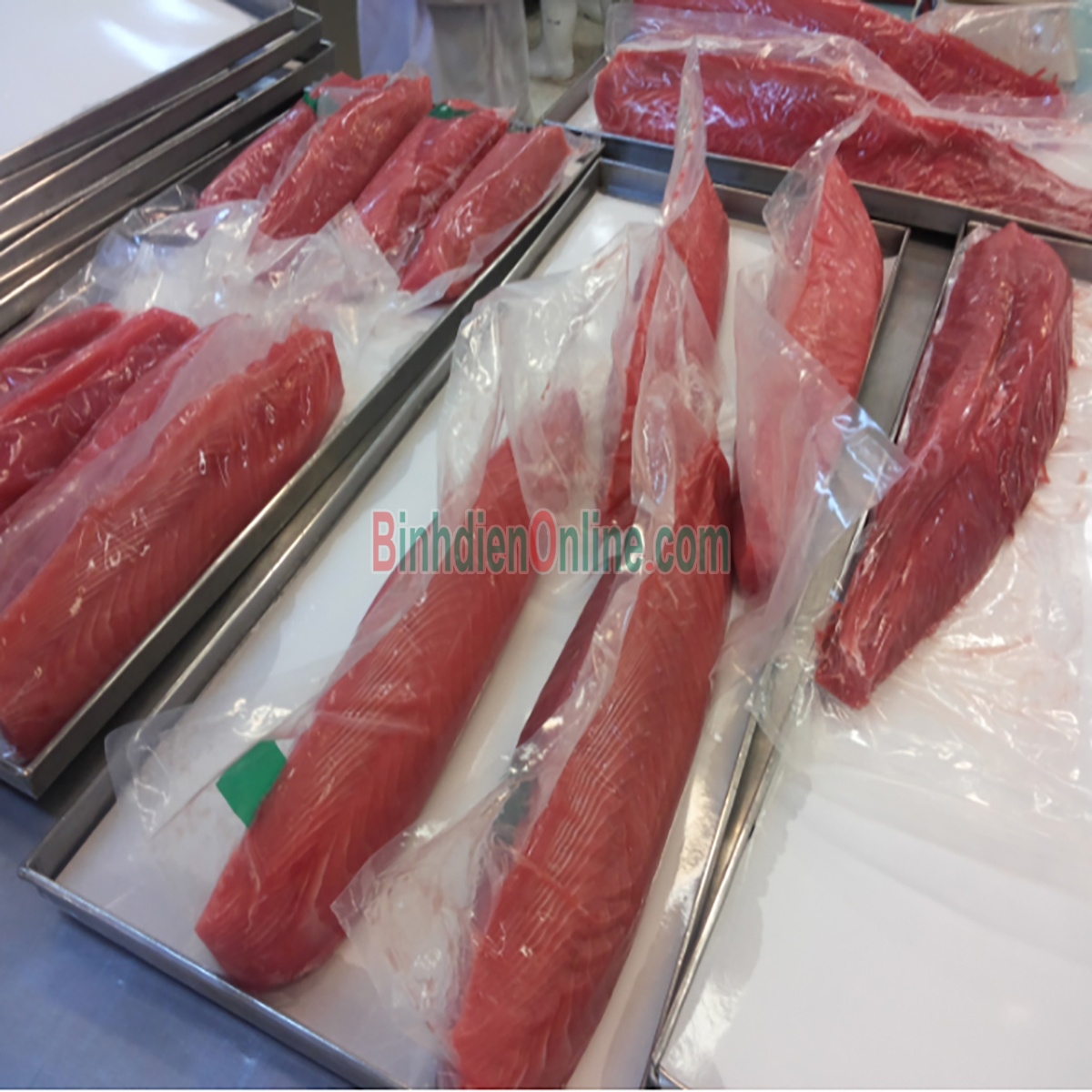 Cá ngừ đại dương nguyên loin hảo hạng 2-2,5 kg Xuất xứ Khánh Hòa