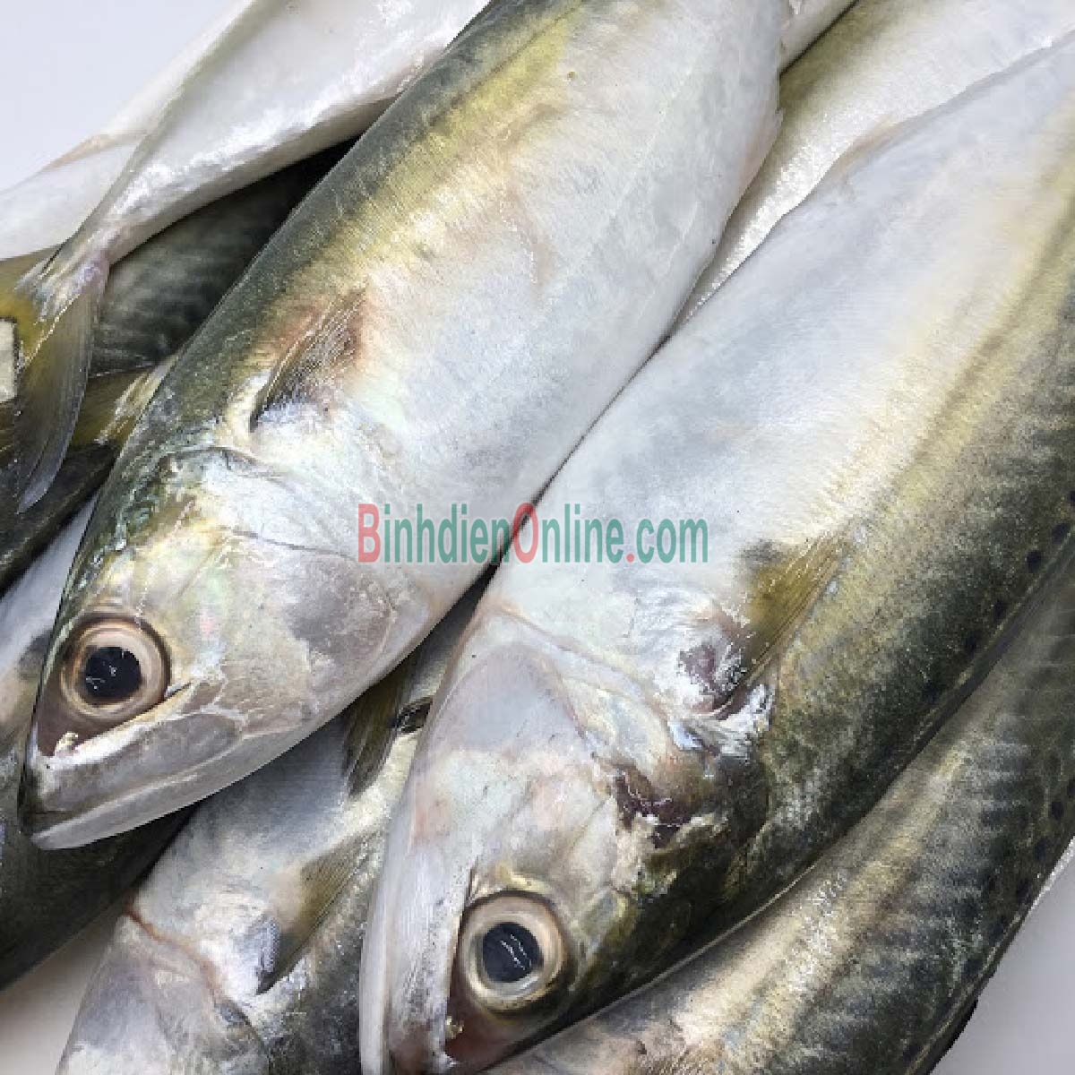Cá ngân tươi nguyên con loại 1 4-5 con/kg Xuất xứ Tiền Giang