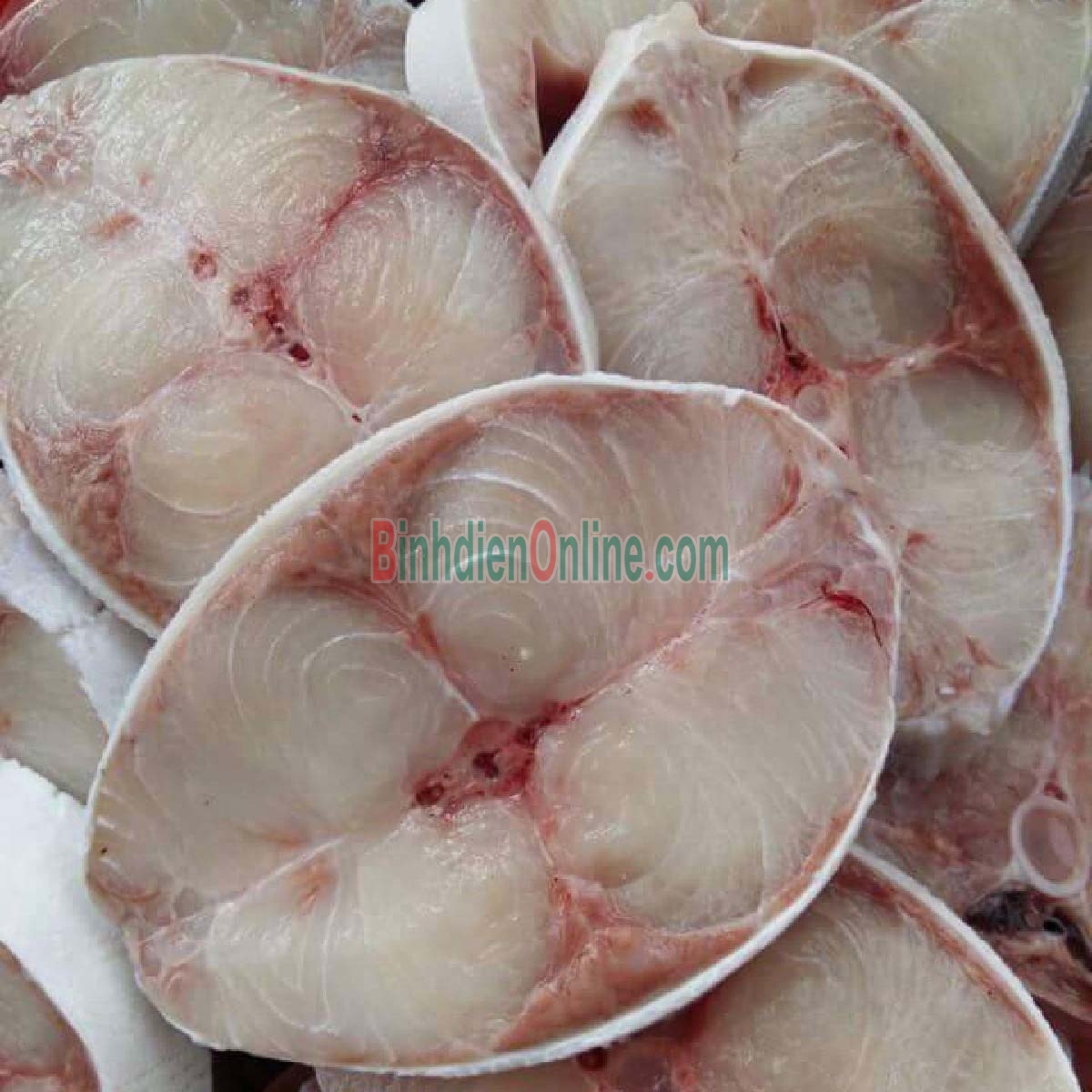 Cá bớp sống, nuôi an toàn còn bơi 2-3 kg/con Xuất xứ Khánh Hòa