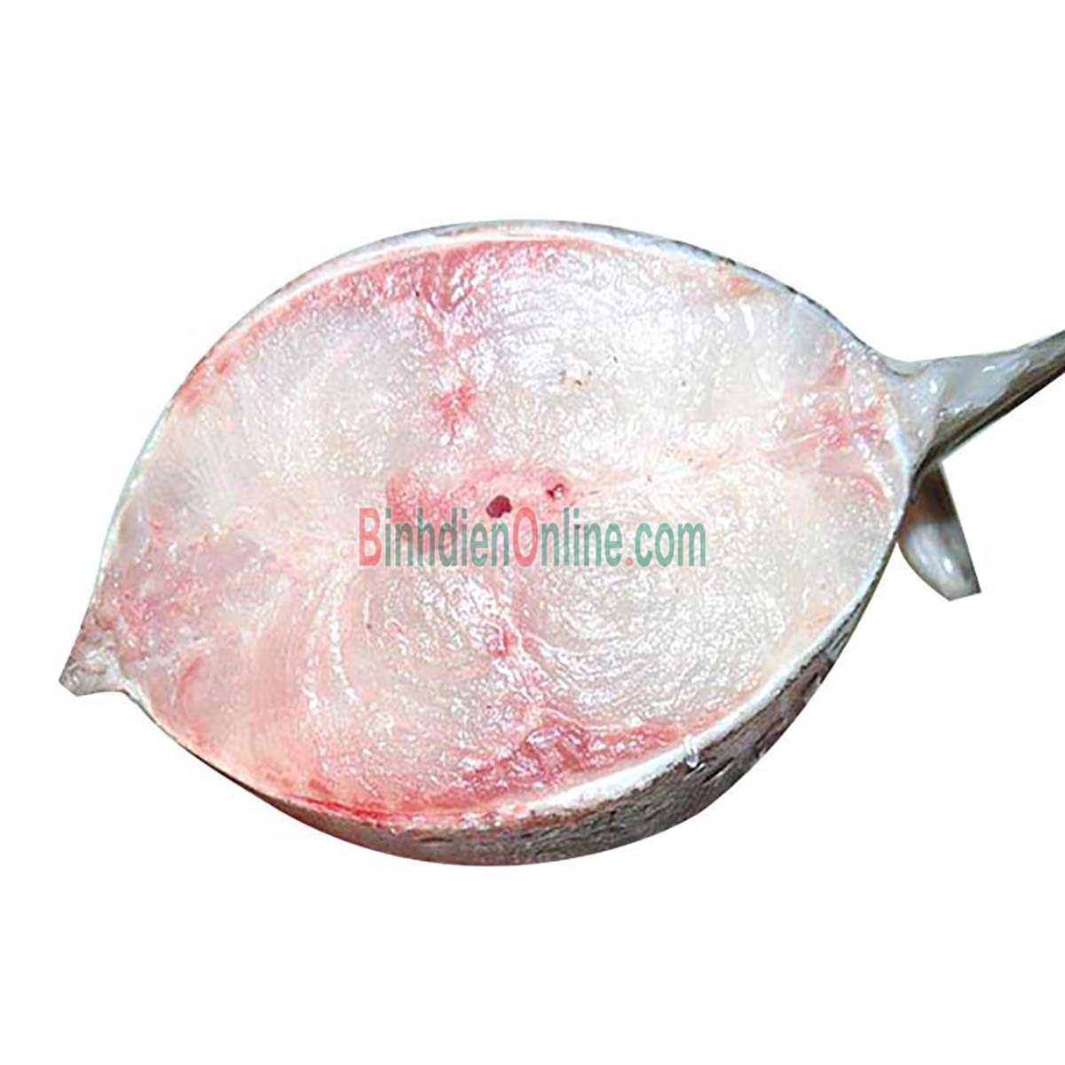Cá bớp thiên nhiên sống cắt khoanh tươi ngon Bán theo kg Xuất xứ Bạc Liêu