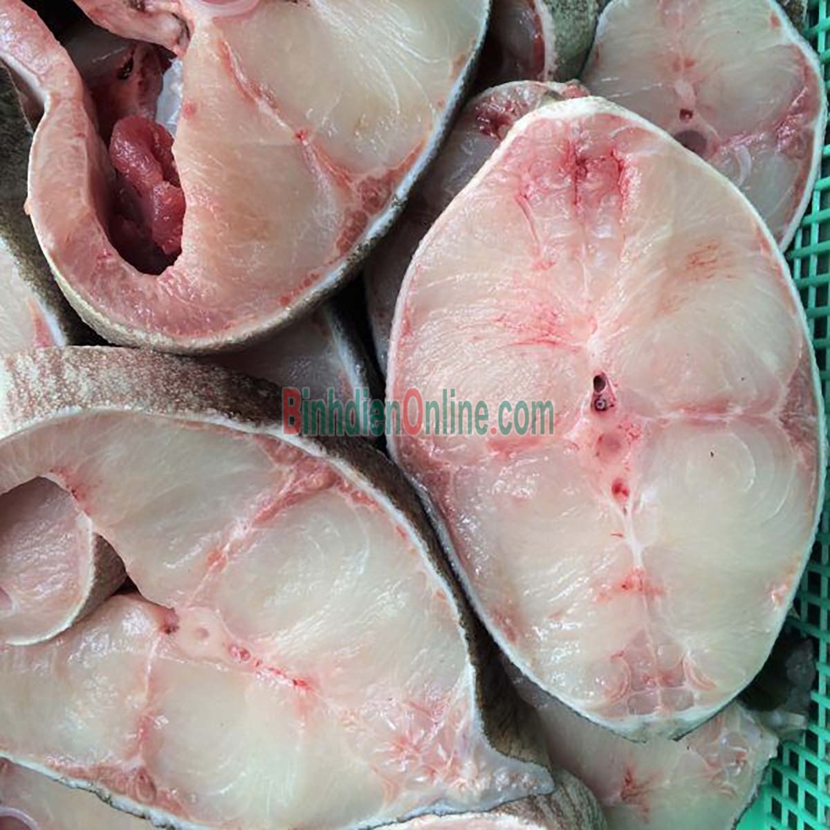 Cá bớp thiên nhiên sống cắt khoanh tươi ngon Loại 1 Xuất xứ Kiên Giang