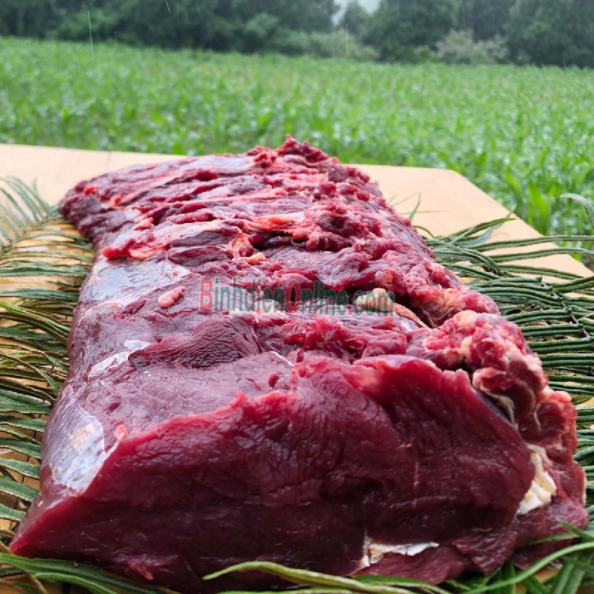 Thăn bò tươi ngon, nuôi thiên nhiên đồng cỏ Bán theo kg Xuất xứ Lâm Đồng