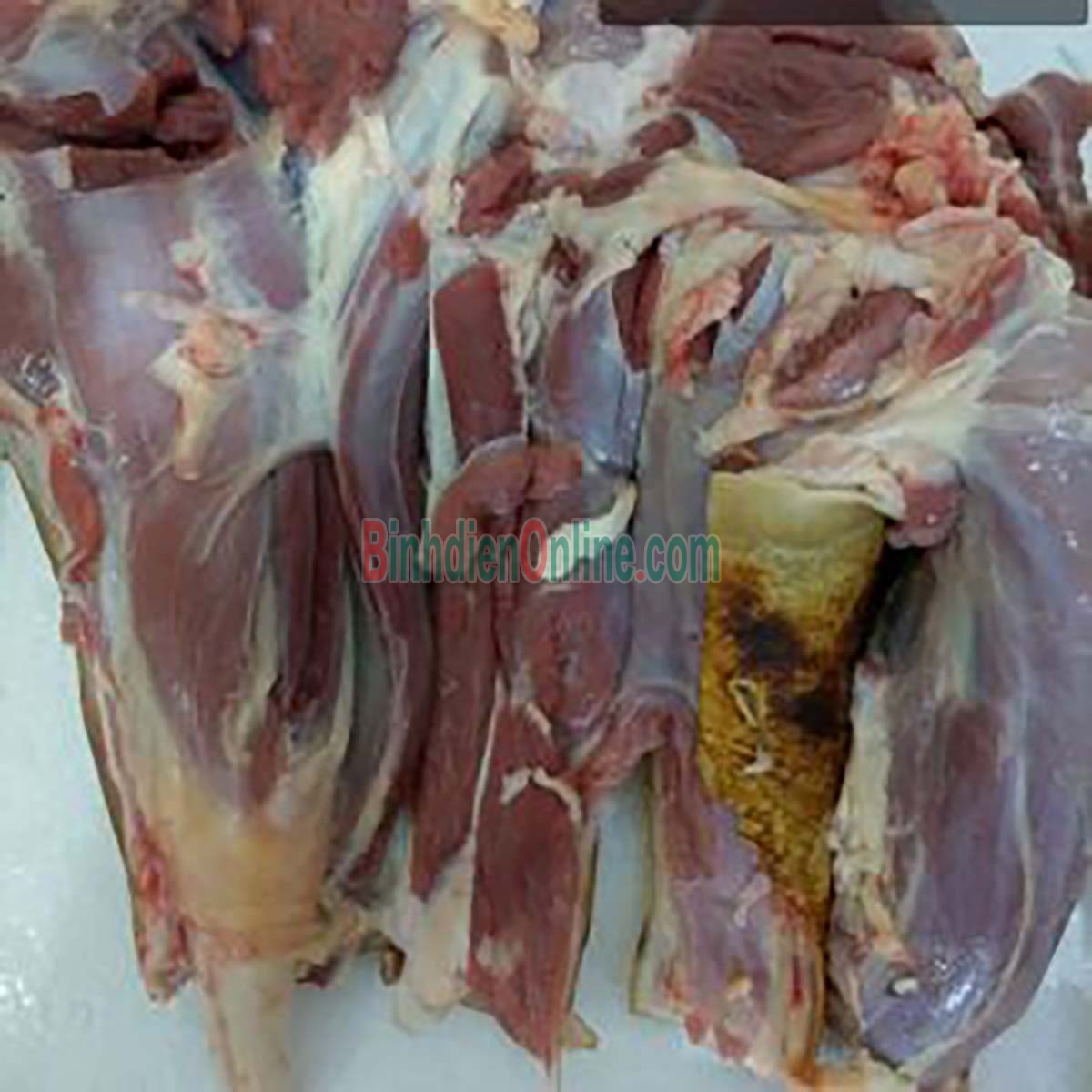 Bắp bê tươi lóc da loại 1, nuôi an toàn Bán theo kg Xuất xứ Lâm Đồng