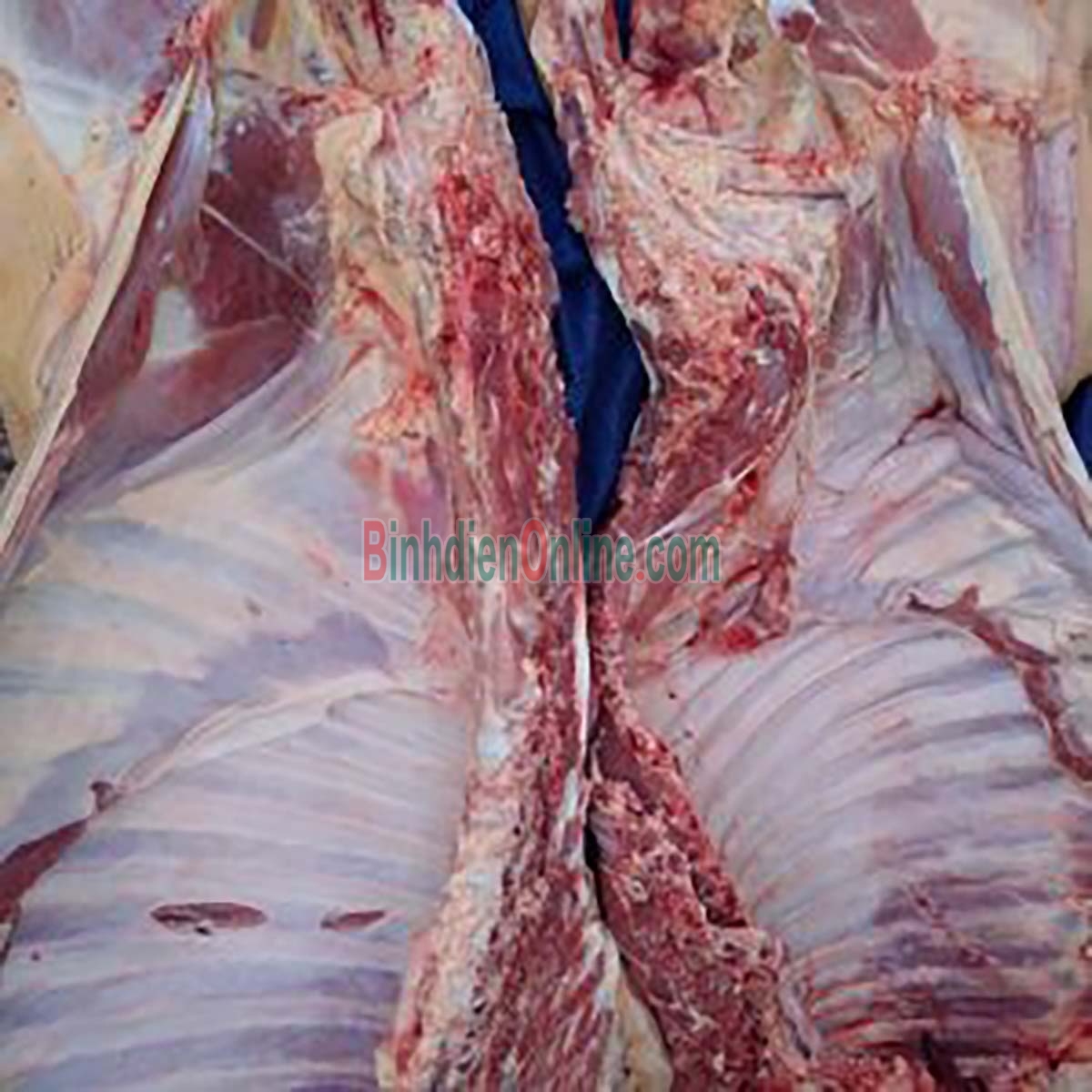 Sườn bê tươi rút xương có da ngon đặc biệt, nuôi đồng cỏ Bán theo kg Xuất xứ Lâm Đồng