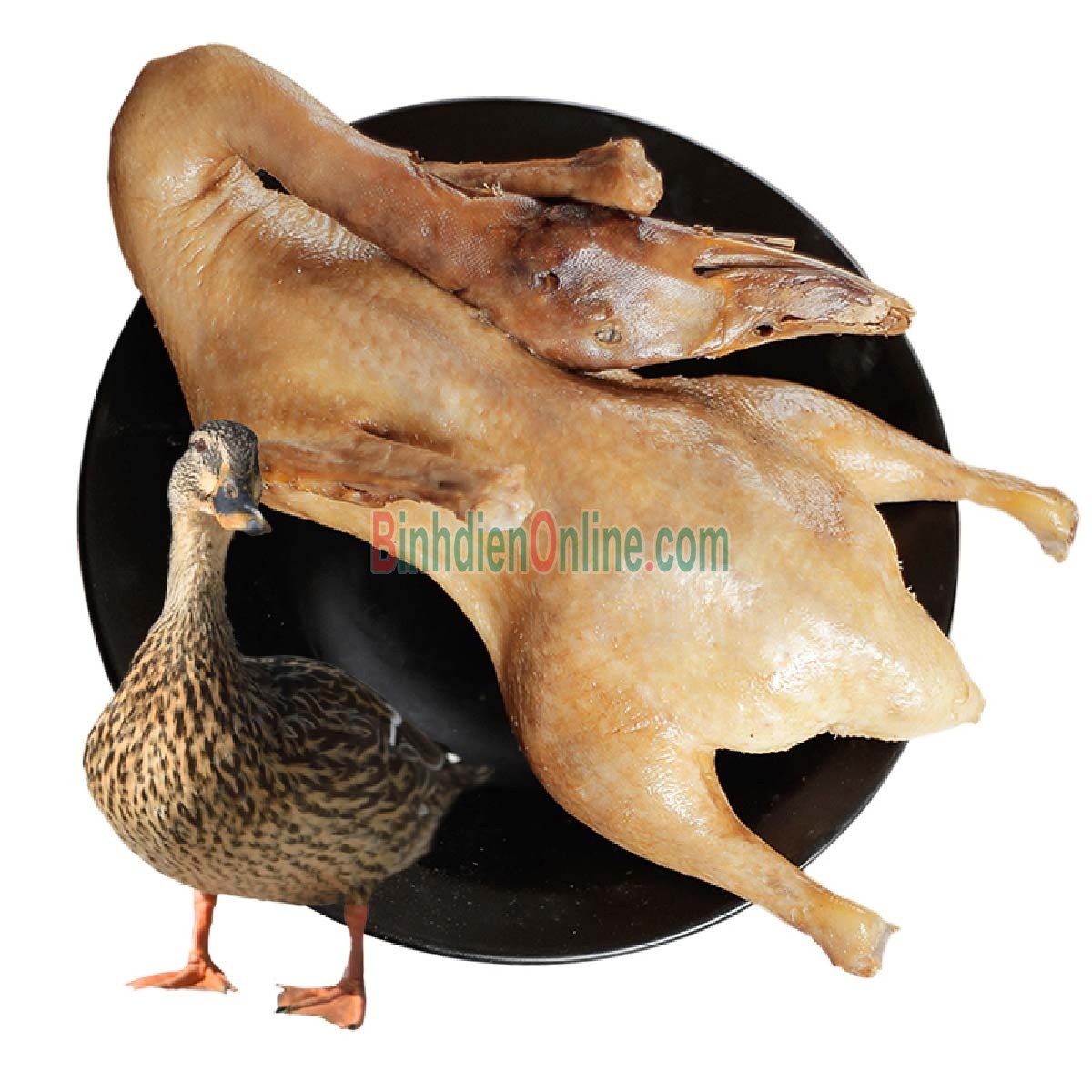 Vịt cỏ  còn sống loại 1 đảm bảo ngon và an toàn 2,5-3 kg/con Xuất xứ Bình Dương