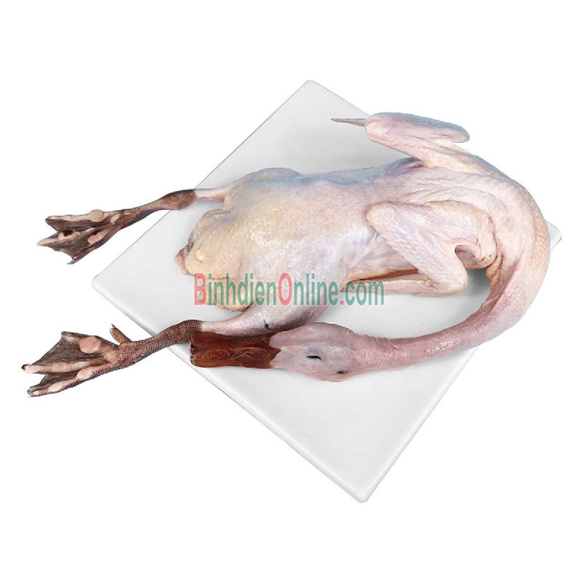 Vịt cỏ  sống, làm sạch, nuôi thả tự nhiên 1,5-2 kg/con Xuất xứ Bình Dương
