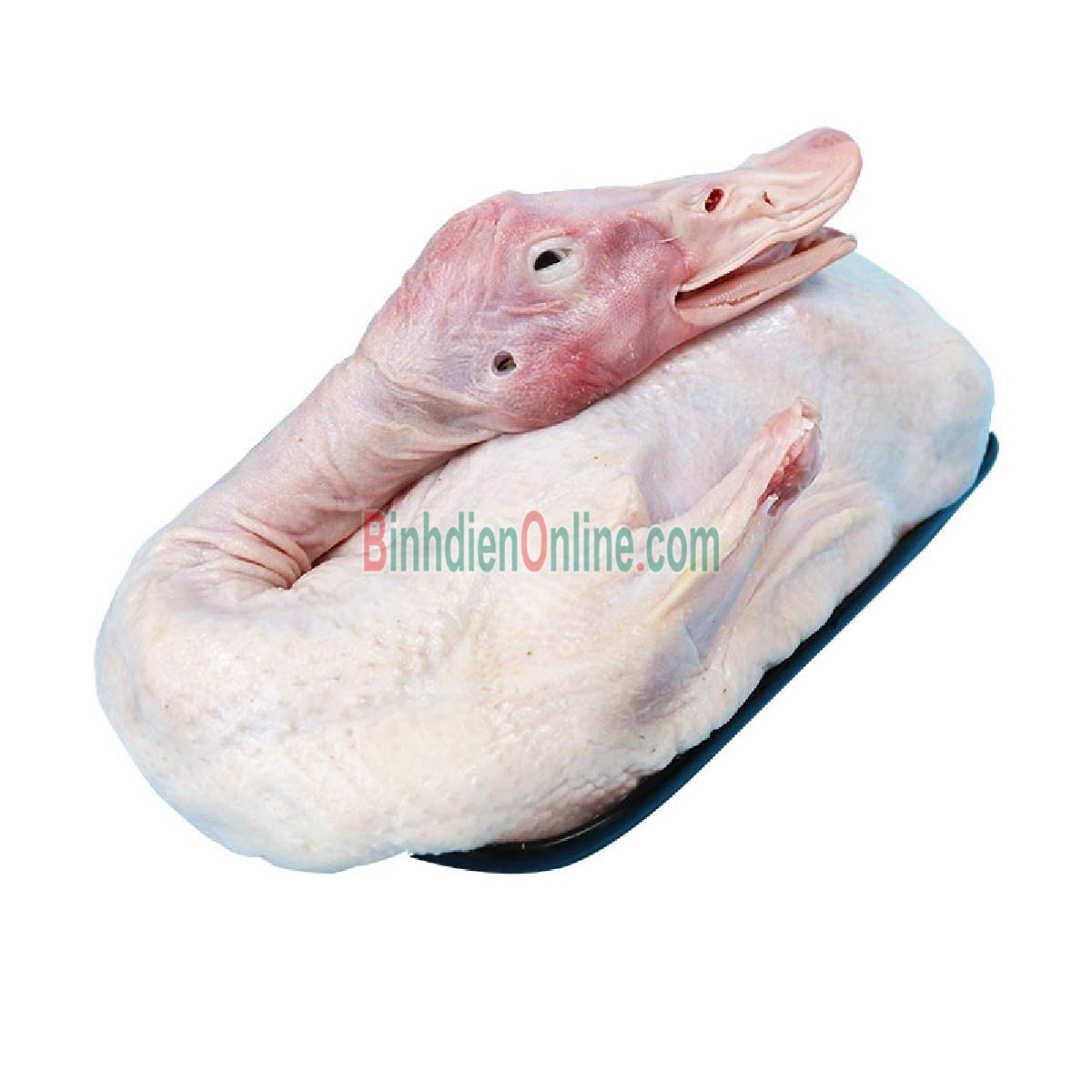 Vịt trời làm sạch thơm ngon giá tốt 1-1,5 kg/con Xuất xứ Đồng Tháp