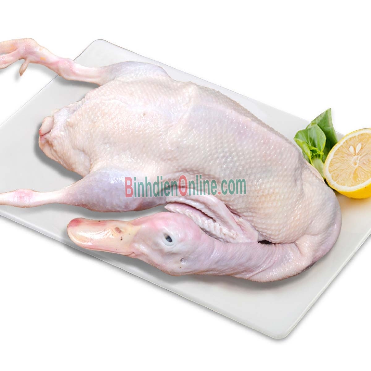 Vịt trời làm sạch thơm ngon giá tốt 1-1,5 kg/con Xuất xứ Tây Ninh