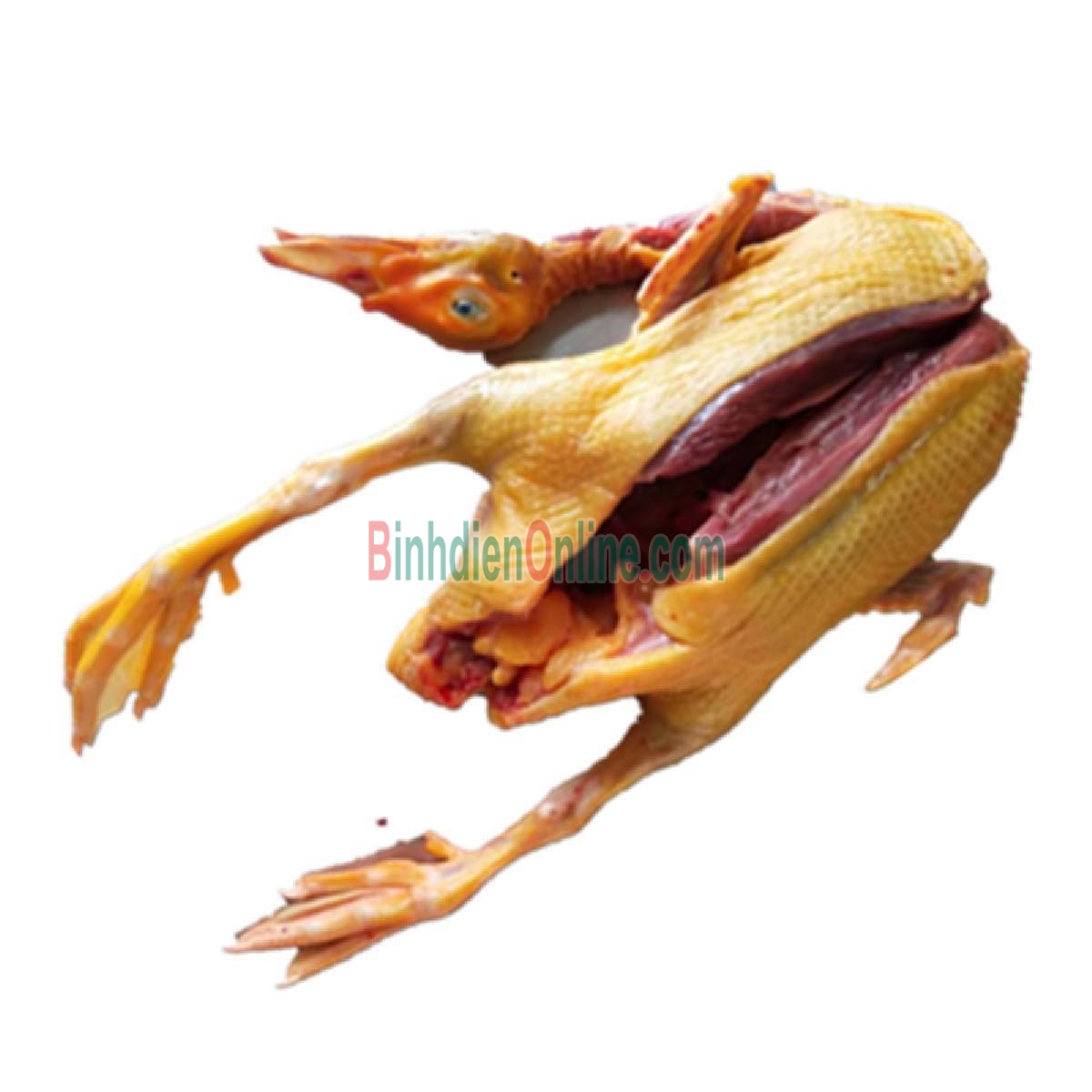 Vịt xiêm còn sống, nuôi thiên nhiên an toàn 2,5-3 kg/con Xuất xứ Long An
