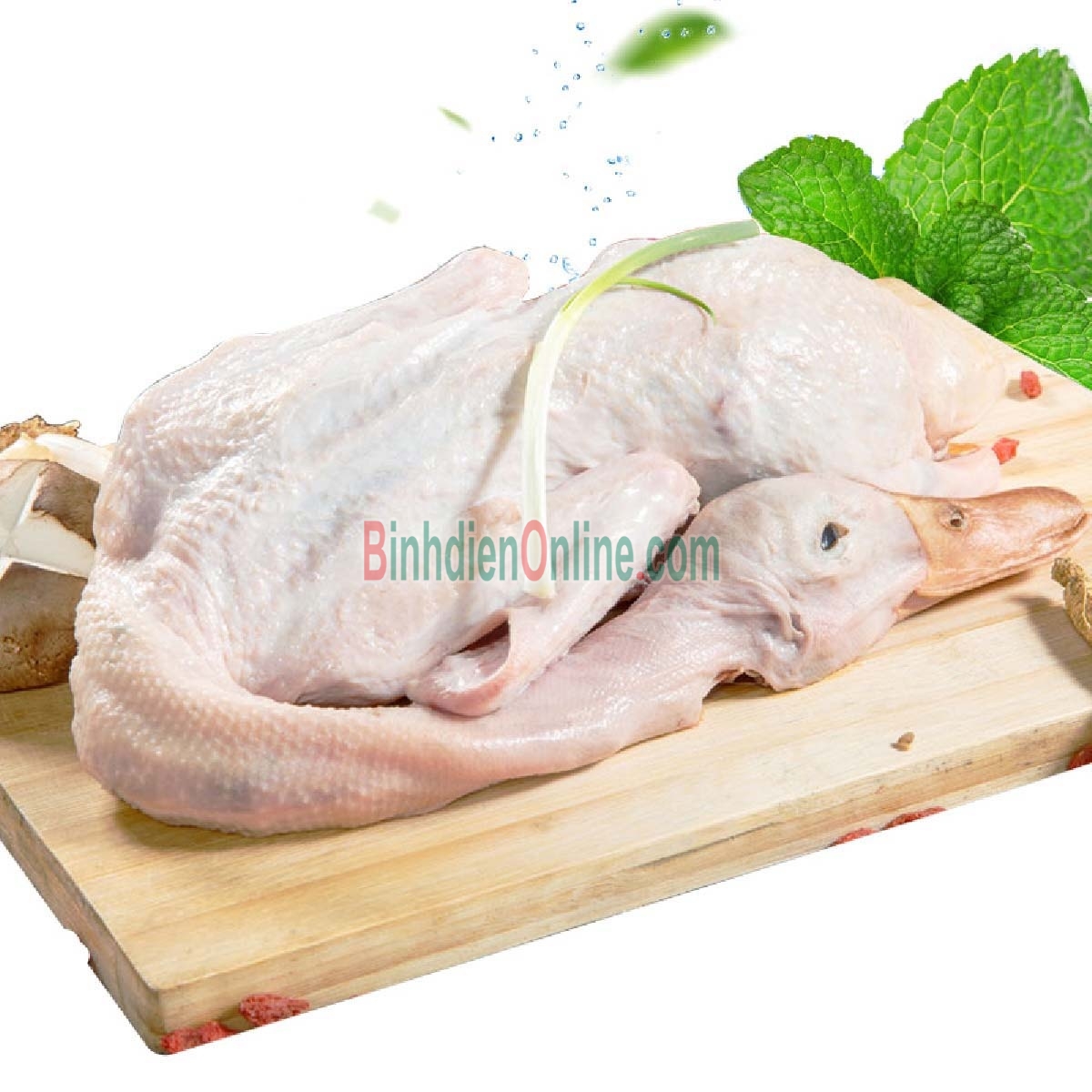 Vịt xiêm  sống làm sạch, thịt thơm ngon giá tốt 3-4 kg/con Xuất xứ Long An