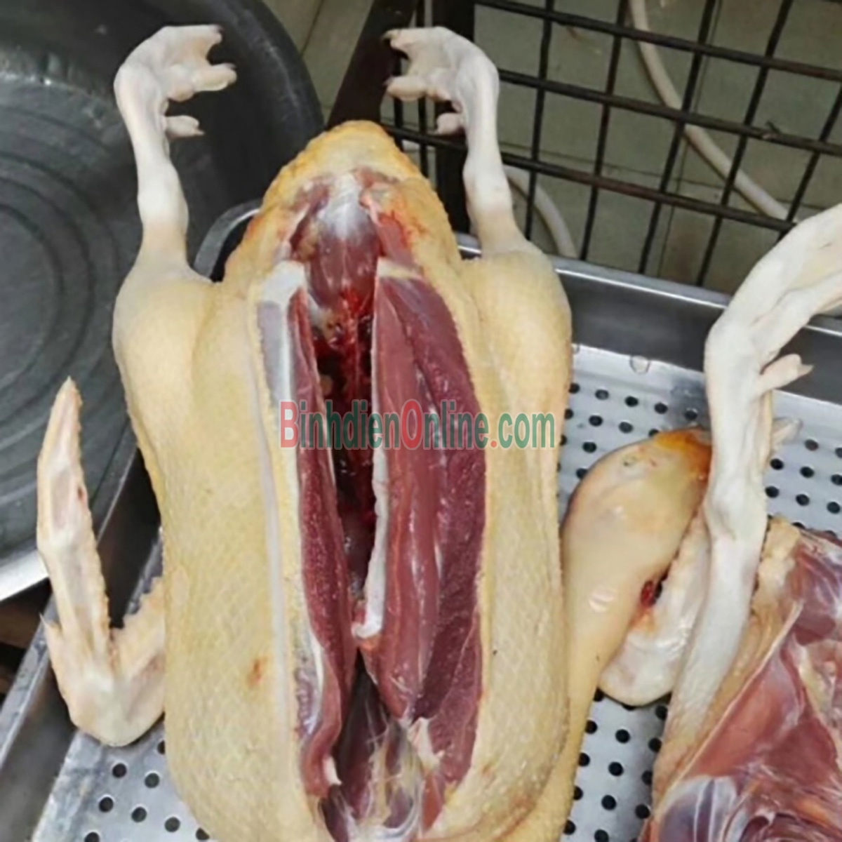 Vịt xiêm còn sống nuôi thiên nhiên giá tốt 2-2,5 kg/con Xuất xứ Đồng Nai