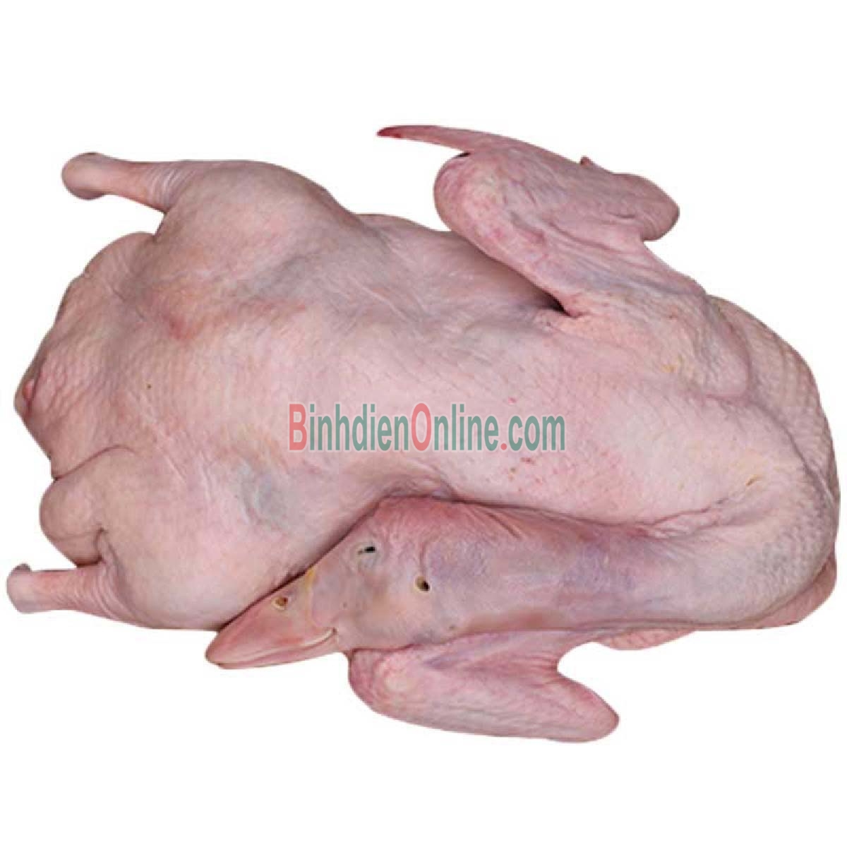Vịt xiêm  sống làm sạch, thịt thơm ngon giá tốt 4-5 kg/con Xuất xứ Long An