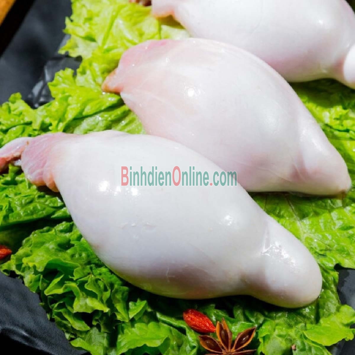 Ngọc dương  tươi bổ dưỡng, nuôi an toàn 600-800 gr/bộ Xuất xứ Ninh Thuận